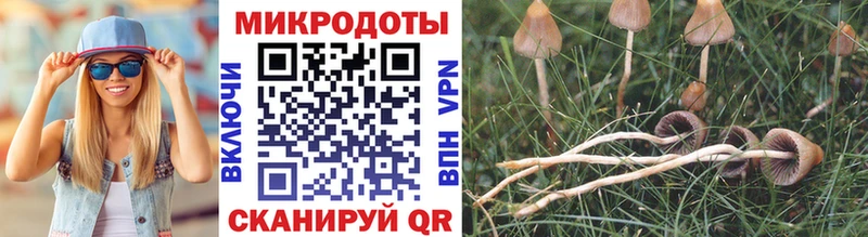 Псилоцибиновые грибы GOLDEN TEACHER  Губаха 